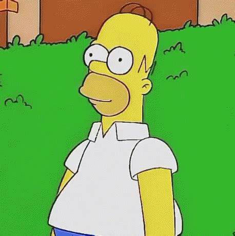 homer gif